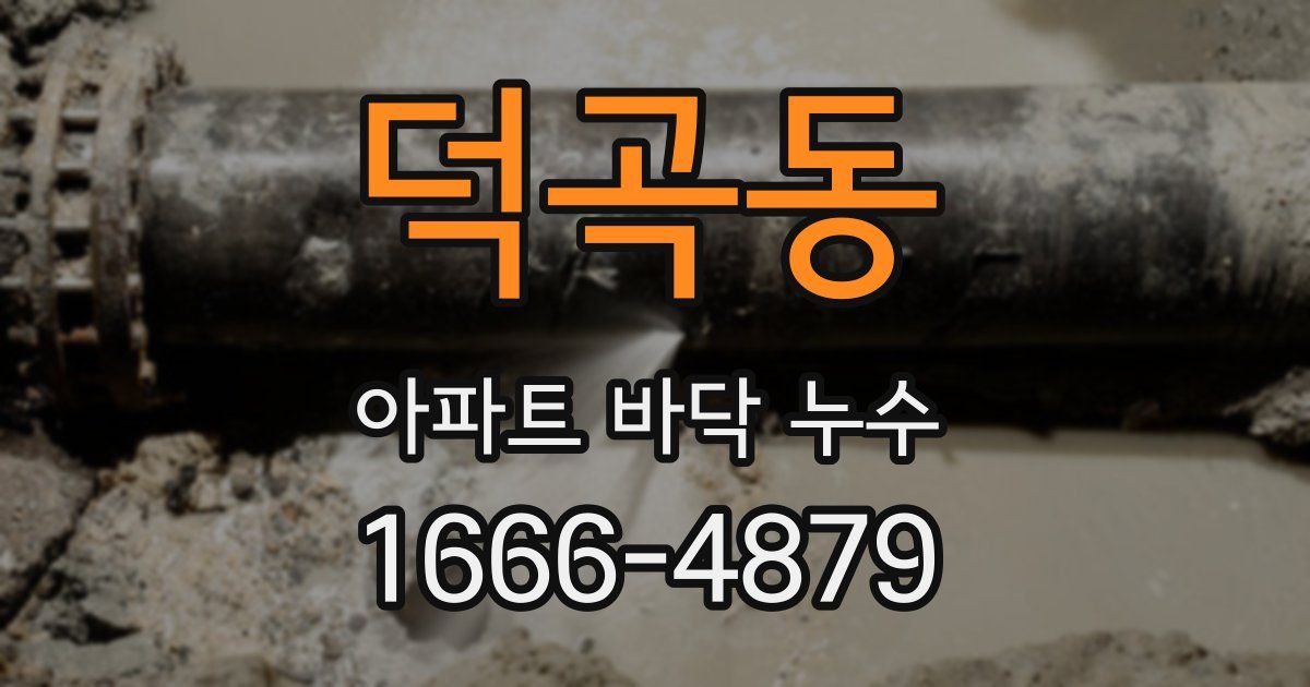 덕곡동 아파트 바닥 누수