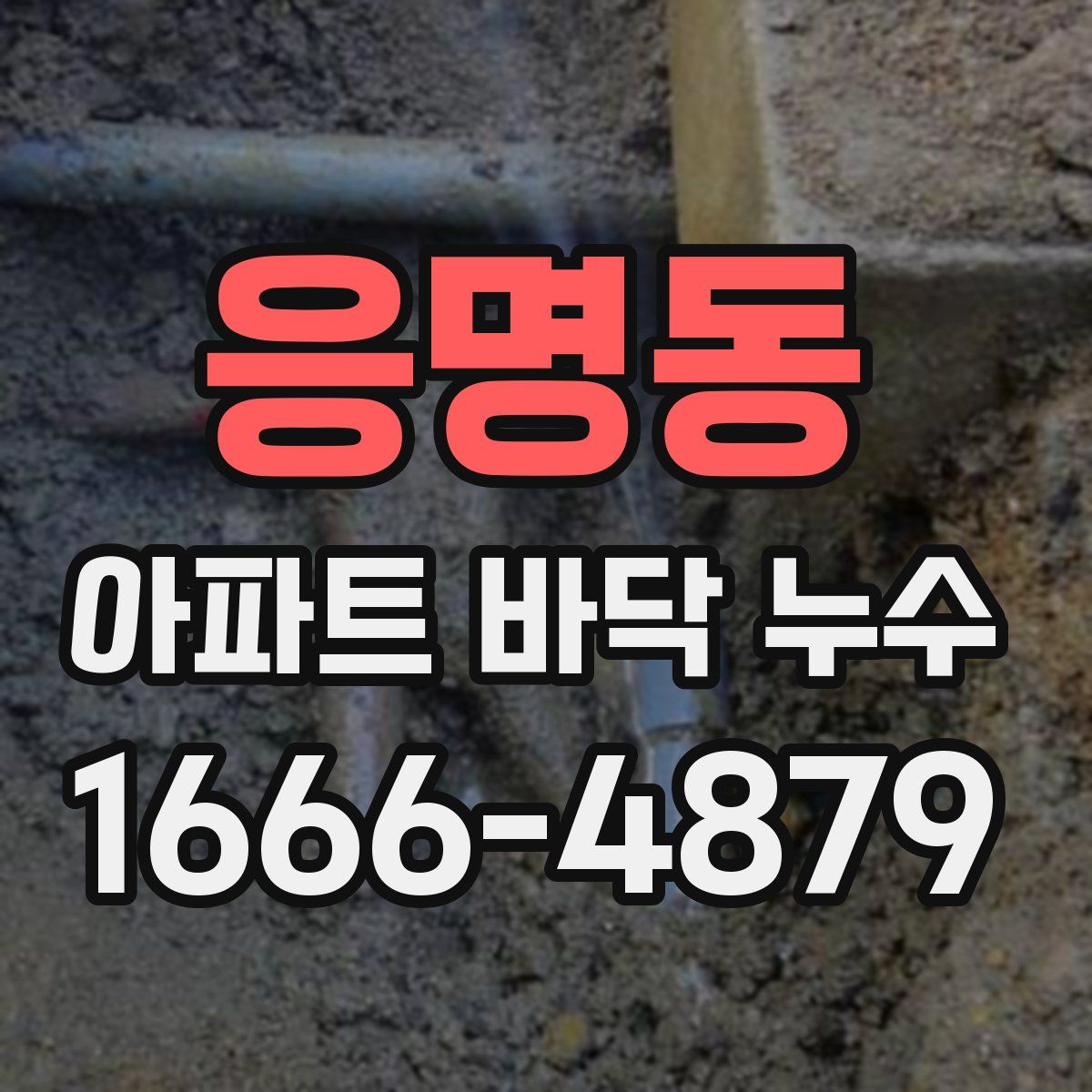 응명동 아파트 바닥 누수
