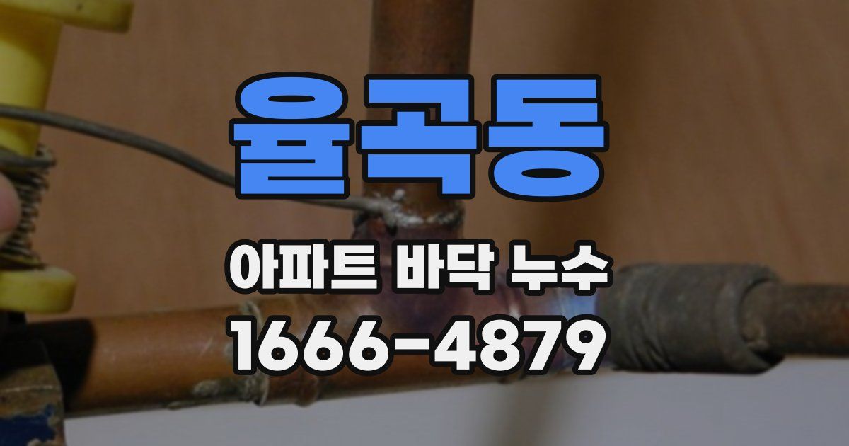 율곡동 아파트 바닥 누수