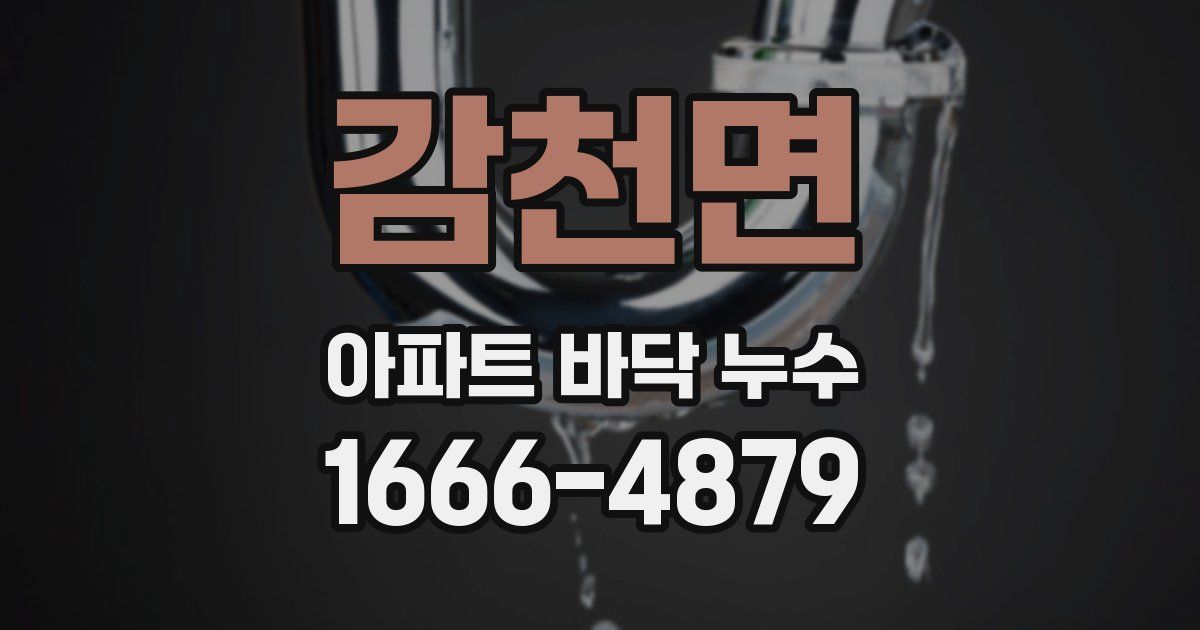 감천면 아파트 바닥 누수