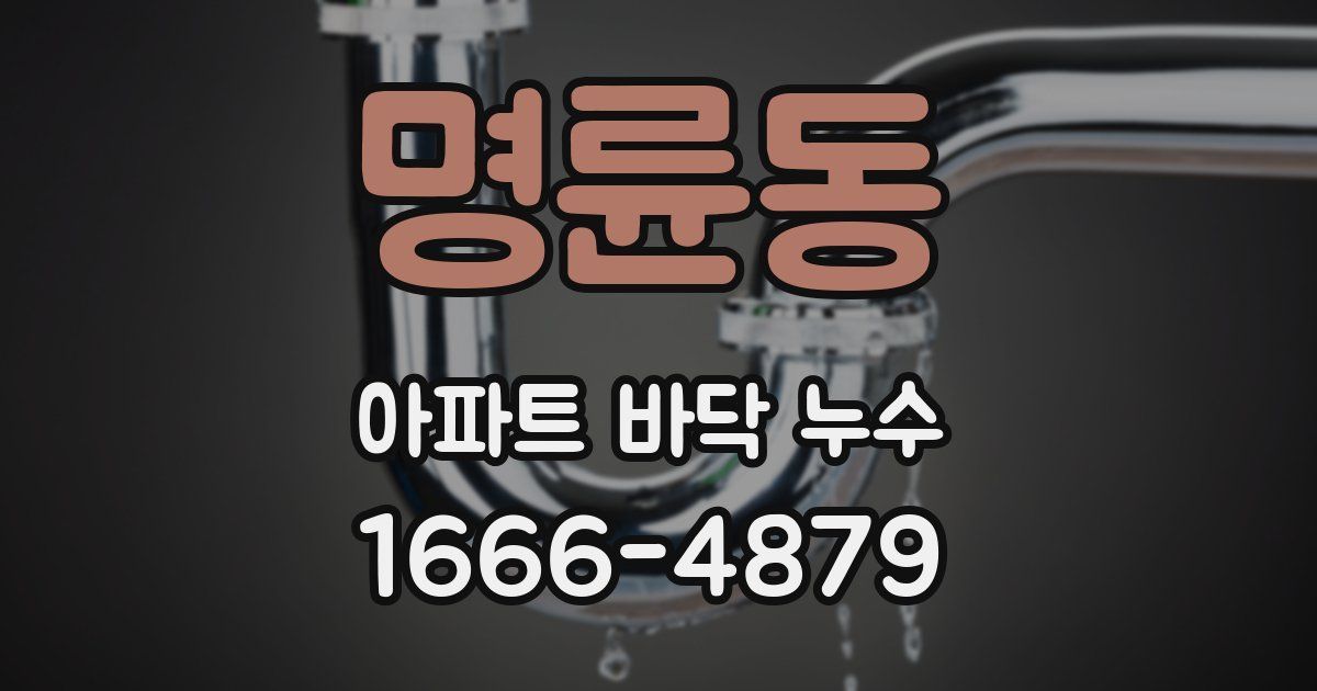 명륜동 아파트 바닥 누수