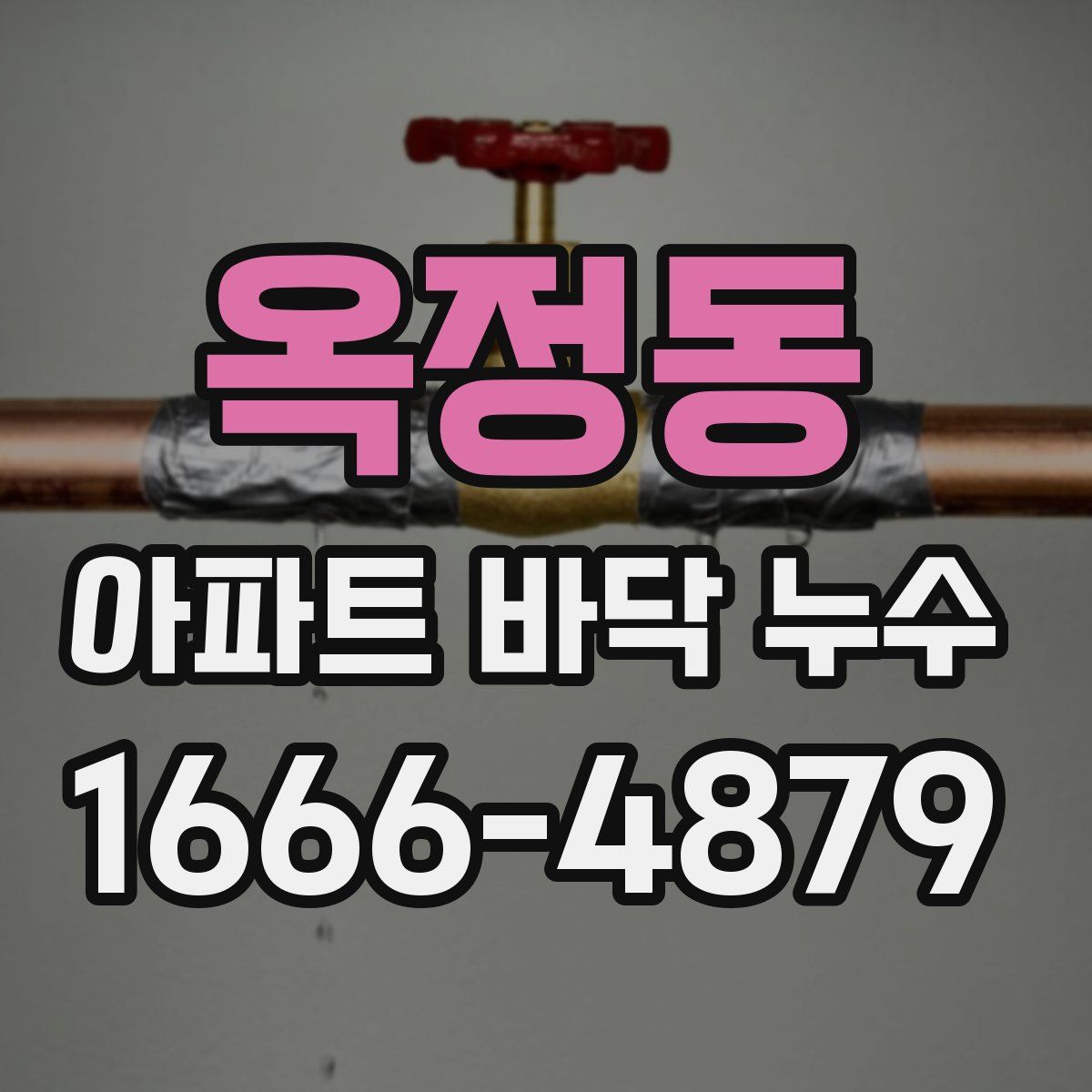 옥정동 아파트 바닥 누수