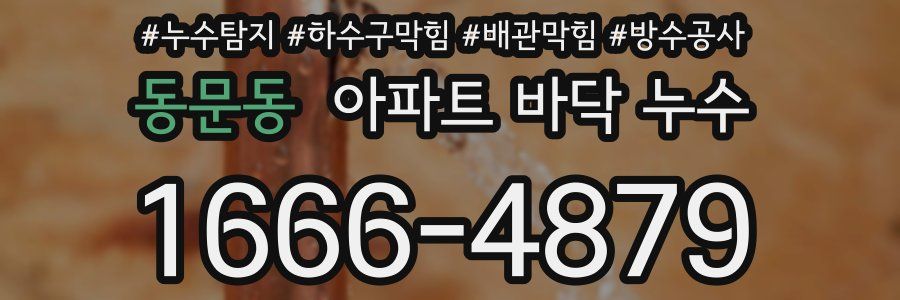 동문동 아파트 바닥 누수