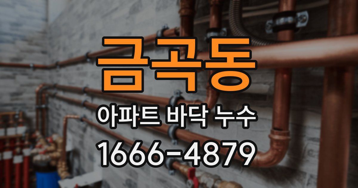 금곡동 아파트 바닥 누수