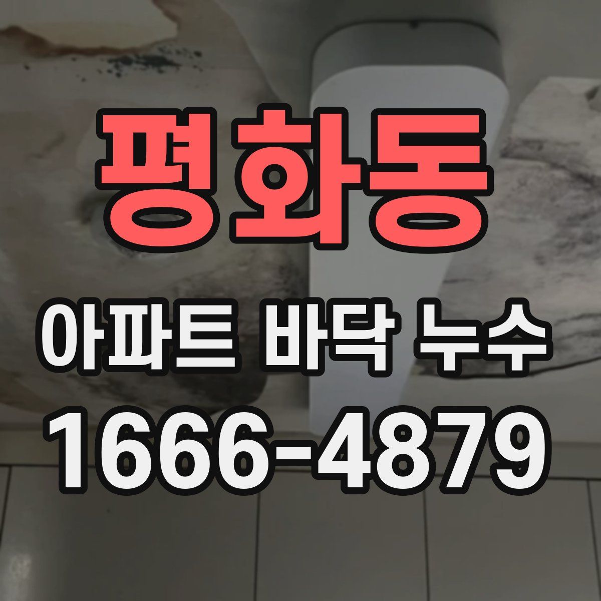평화동 아파트 바닥 누수