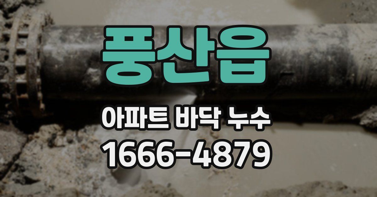 풍산읍 아파트 바닥 누수
