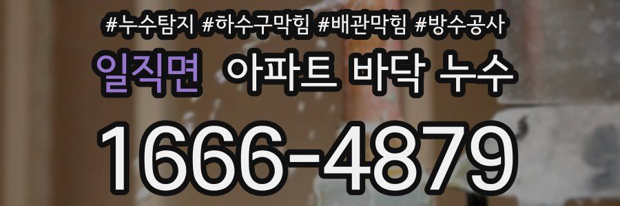 일직면 아파트 바닥 누수