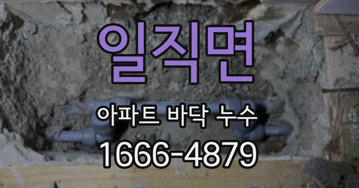 일직면 아파트 바닥 누수