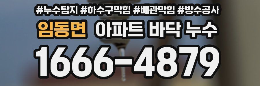 임동면 아파트 바닥 누수