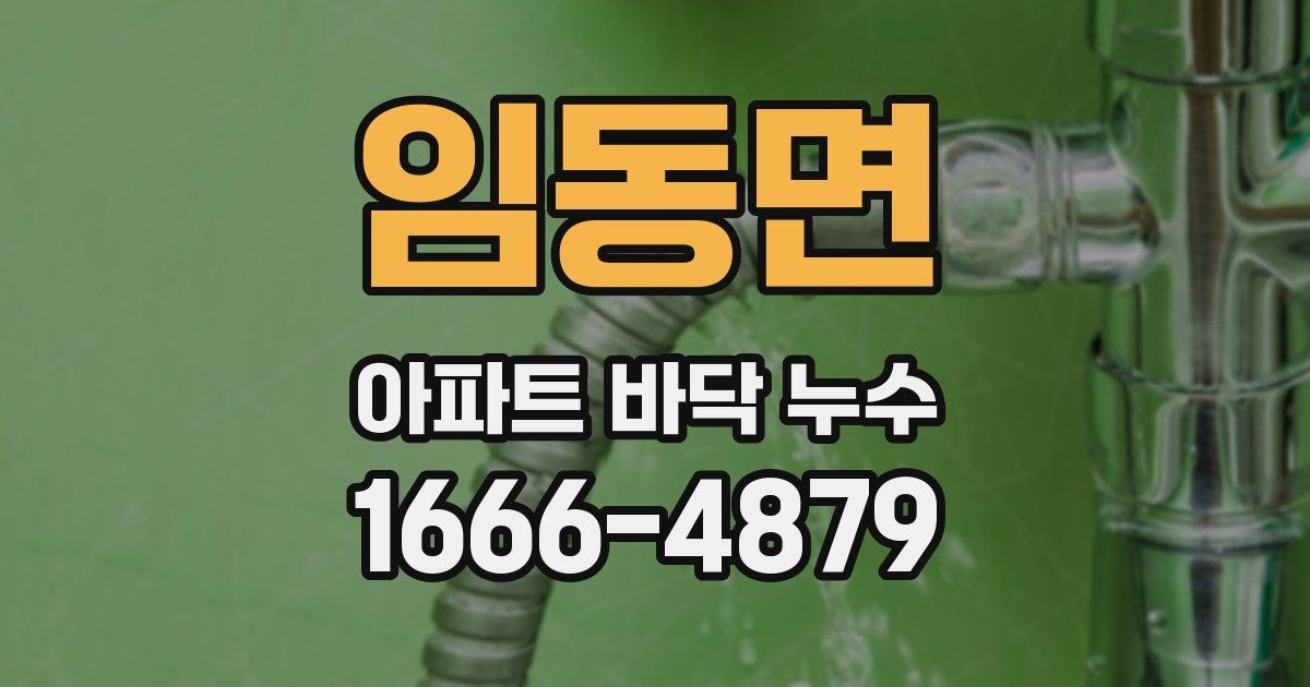 임동면 아파트 바닥 누수