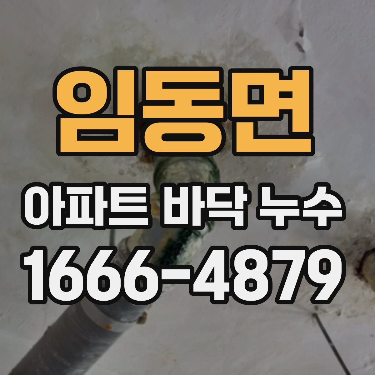 임동면 아파트 바닥 누수
