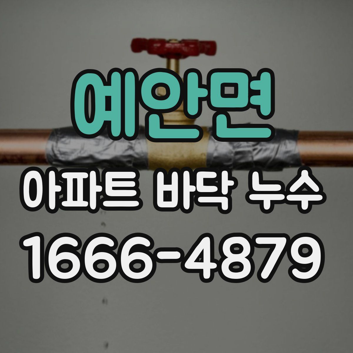 예안면 아파트 바닥 누수