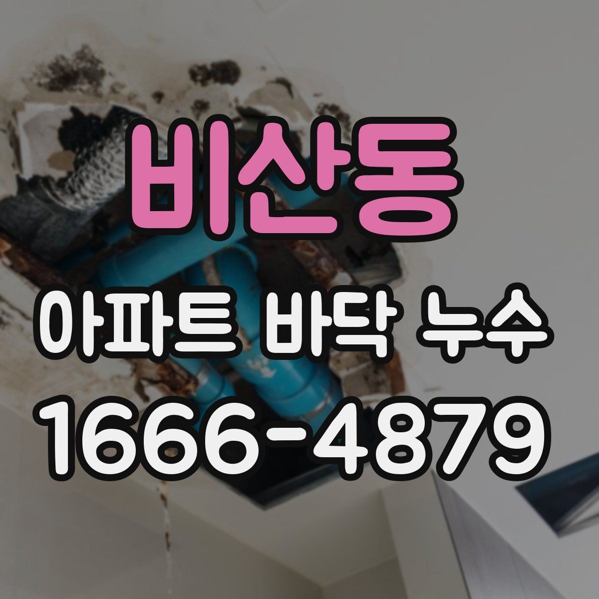 비산동 아파트 바닥 누수