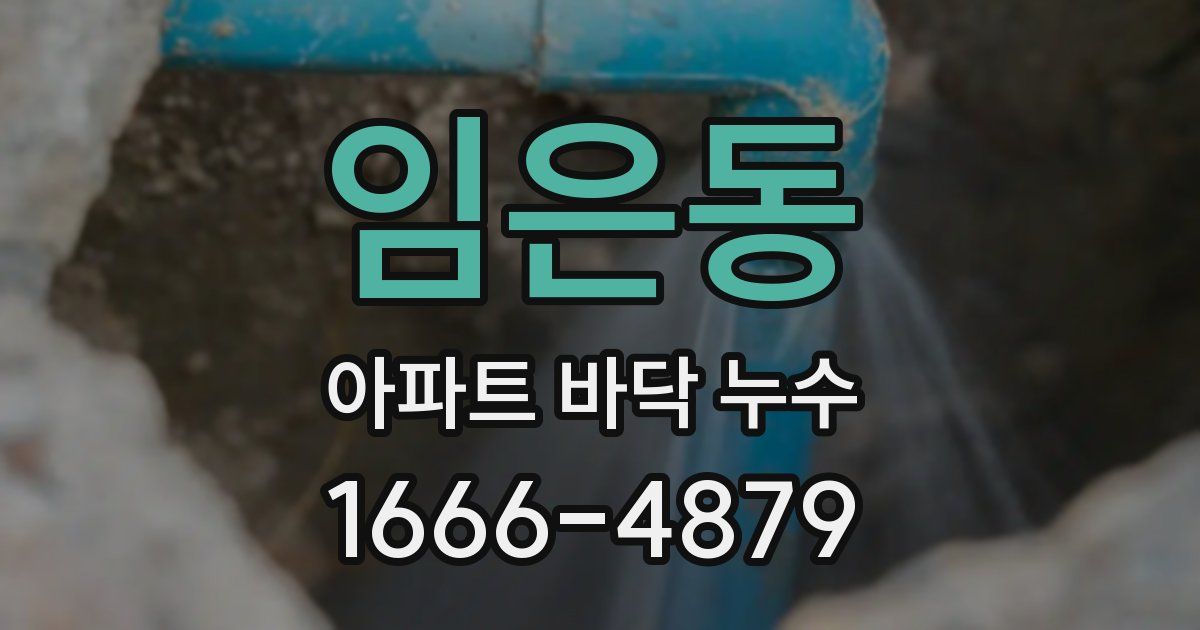 임은동 아파트 바닥 누수