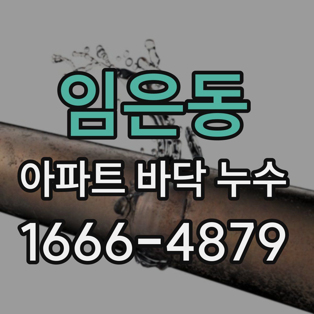 임은동 아파트 바닥 누수