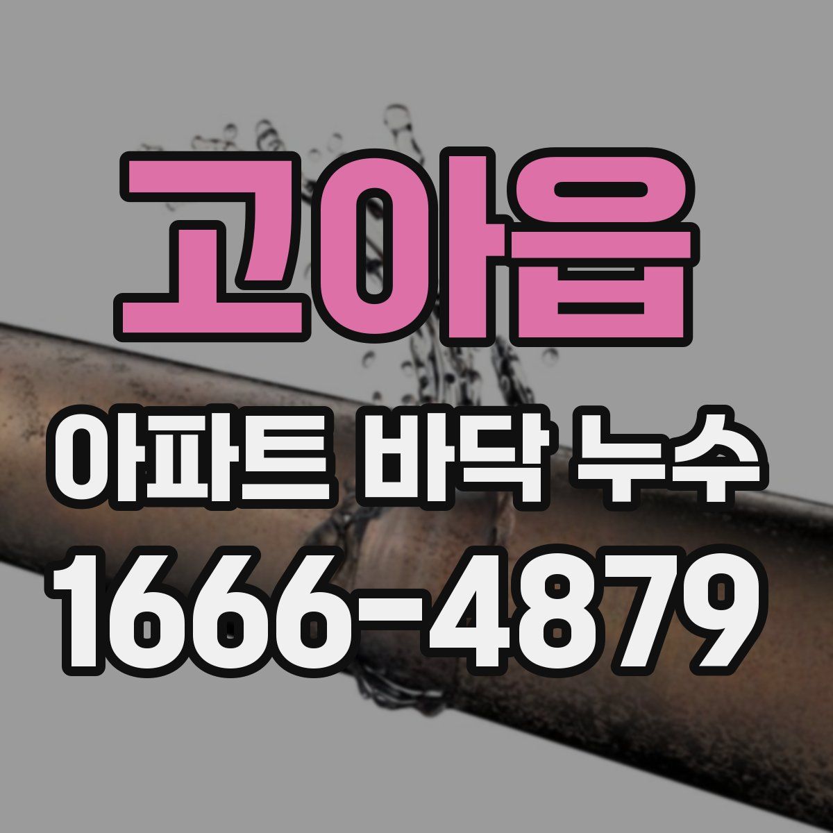 고아읍 아파트 바닥 누수