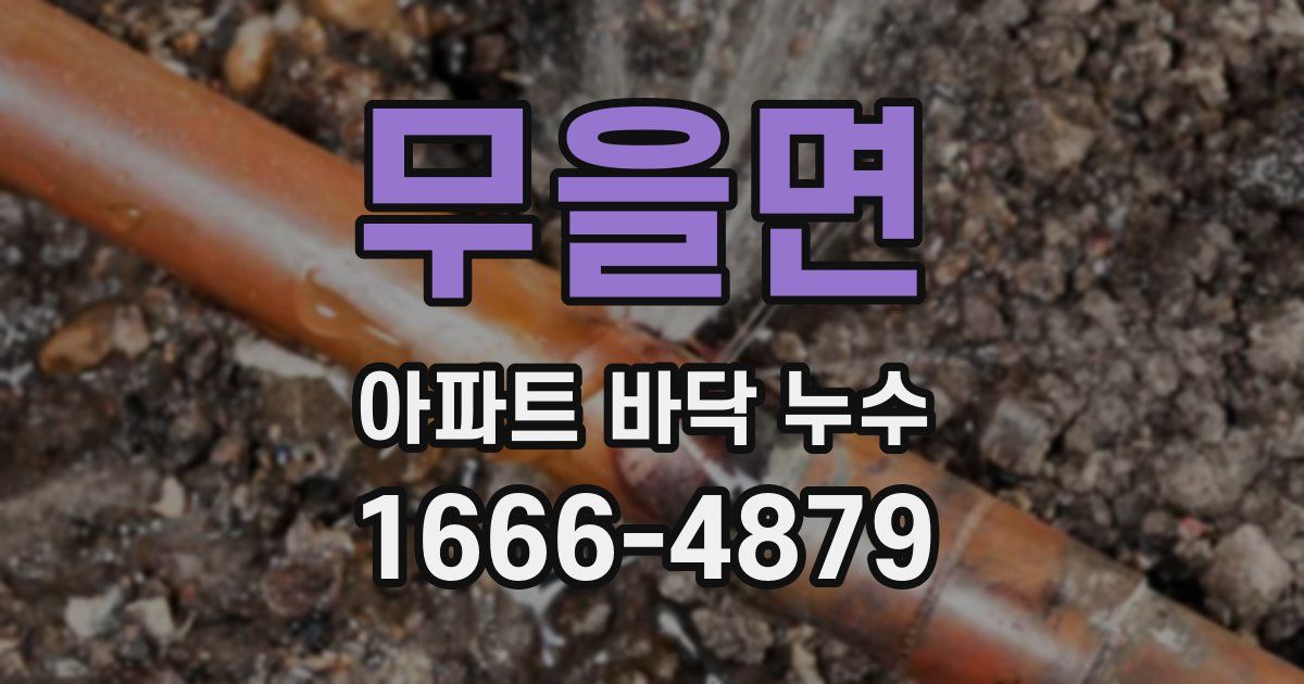 무을면 아파트 바닥 누수