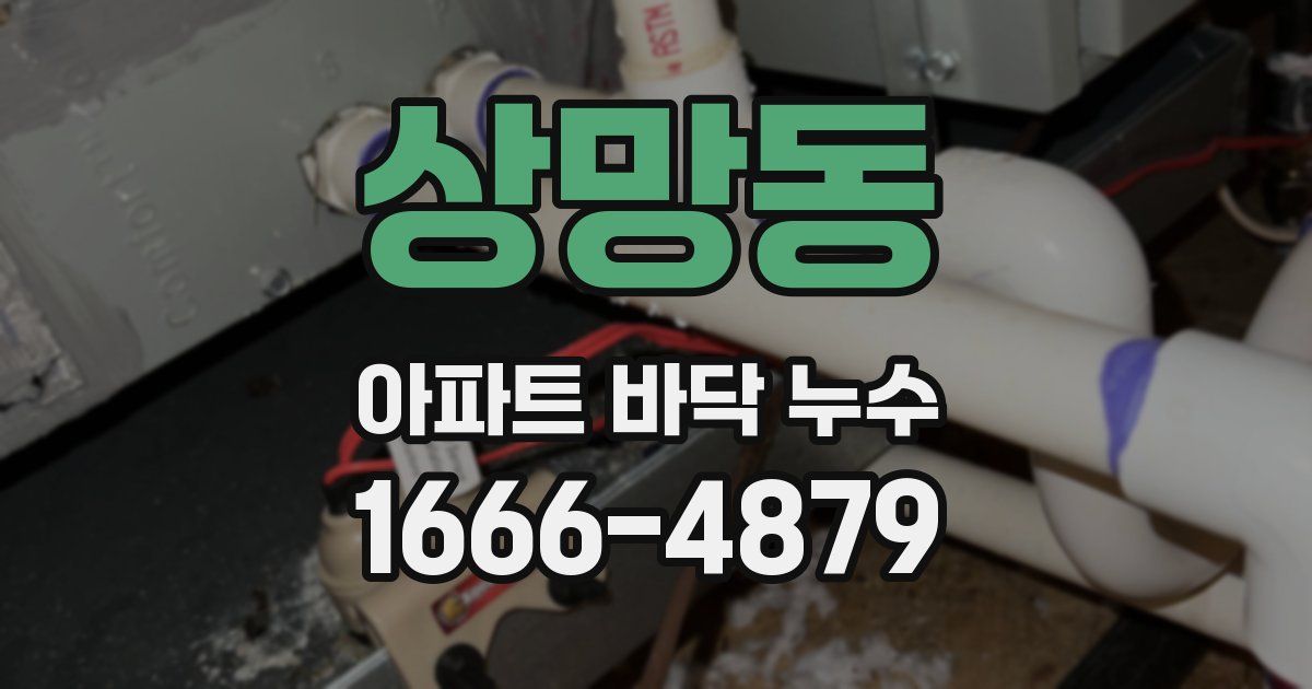 상망동 아파트 바닥 누수