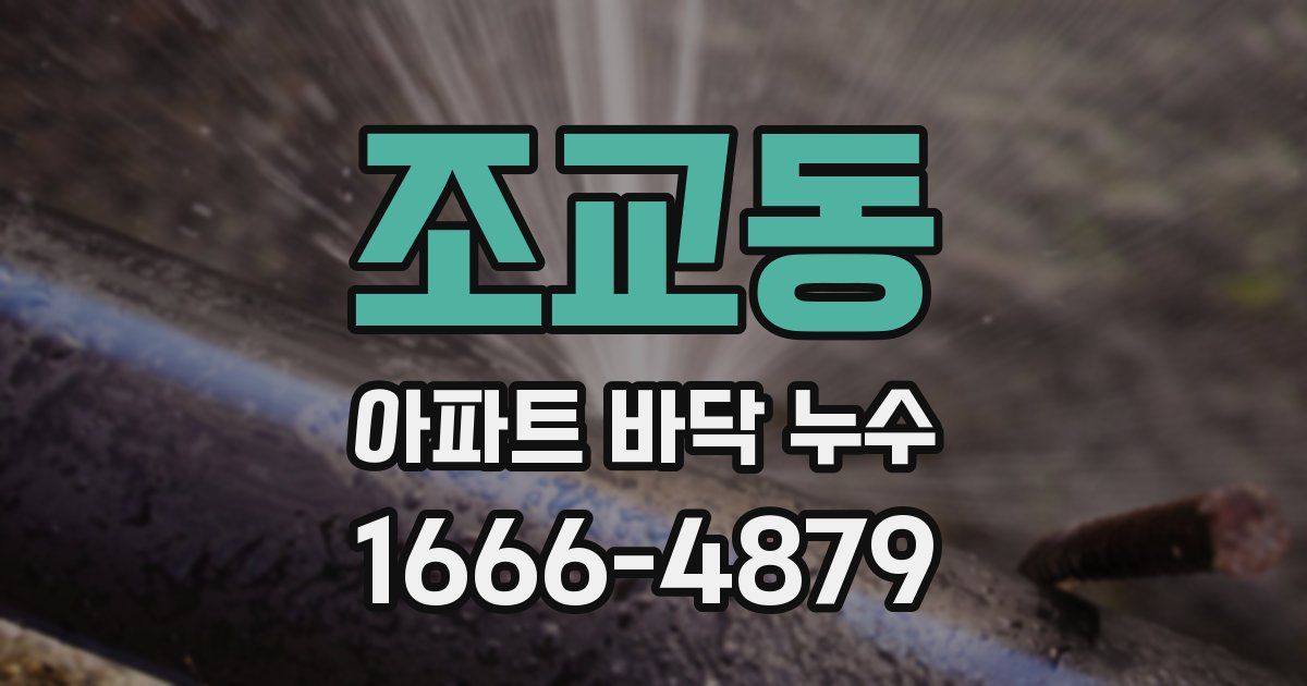 조교동 아파트 바닥 누수