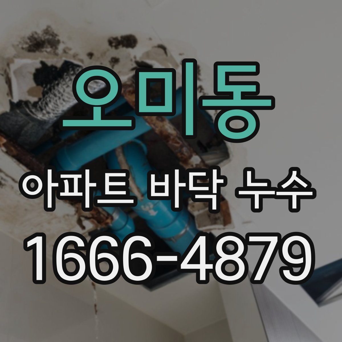 오미동 아파트 바닥 누수