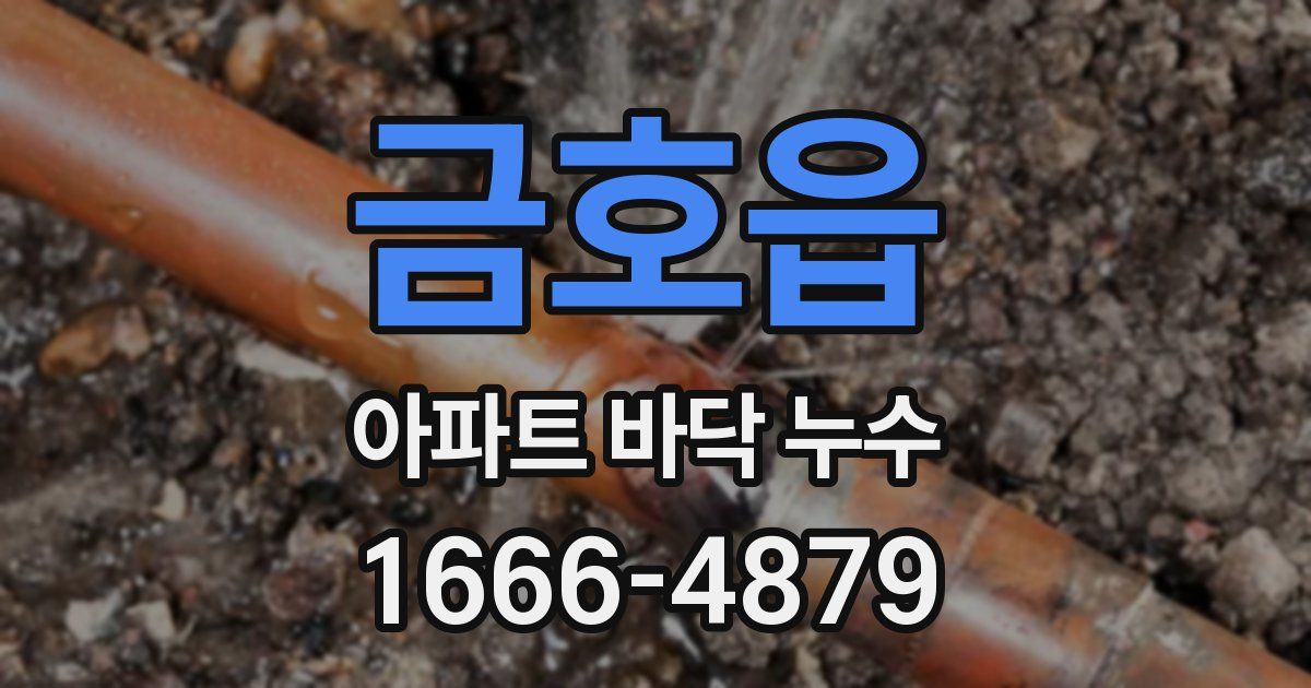 금호읍 아파트 바닥 누수