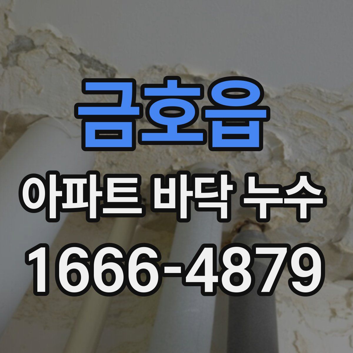 금호읍 아파트 바닥 누수