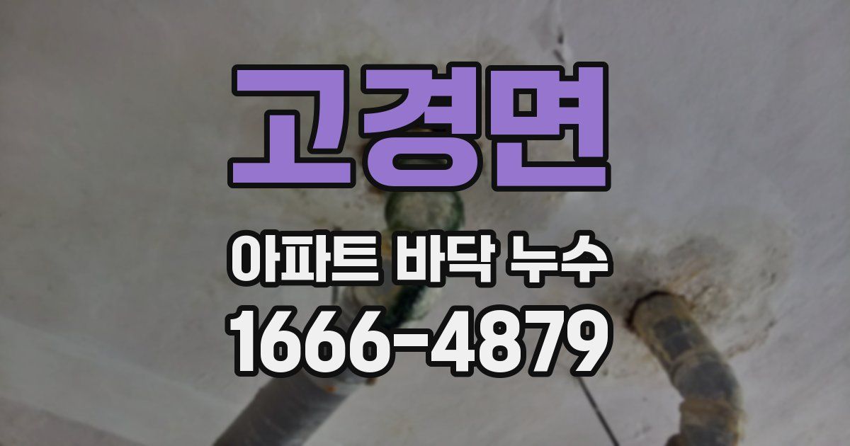고경면 아파트 바닥 누수