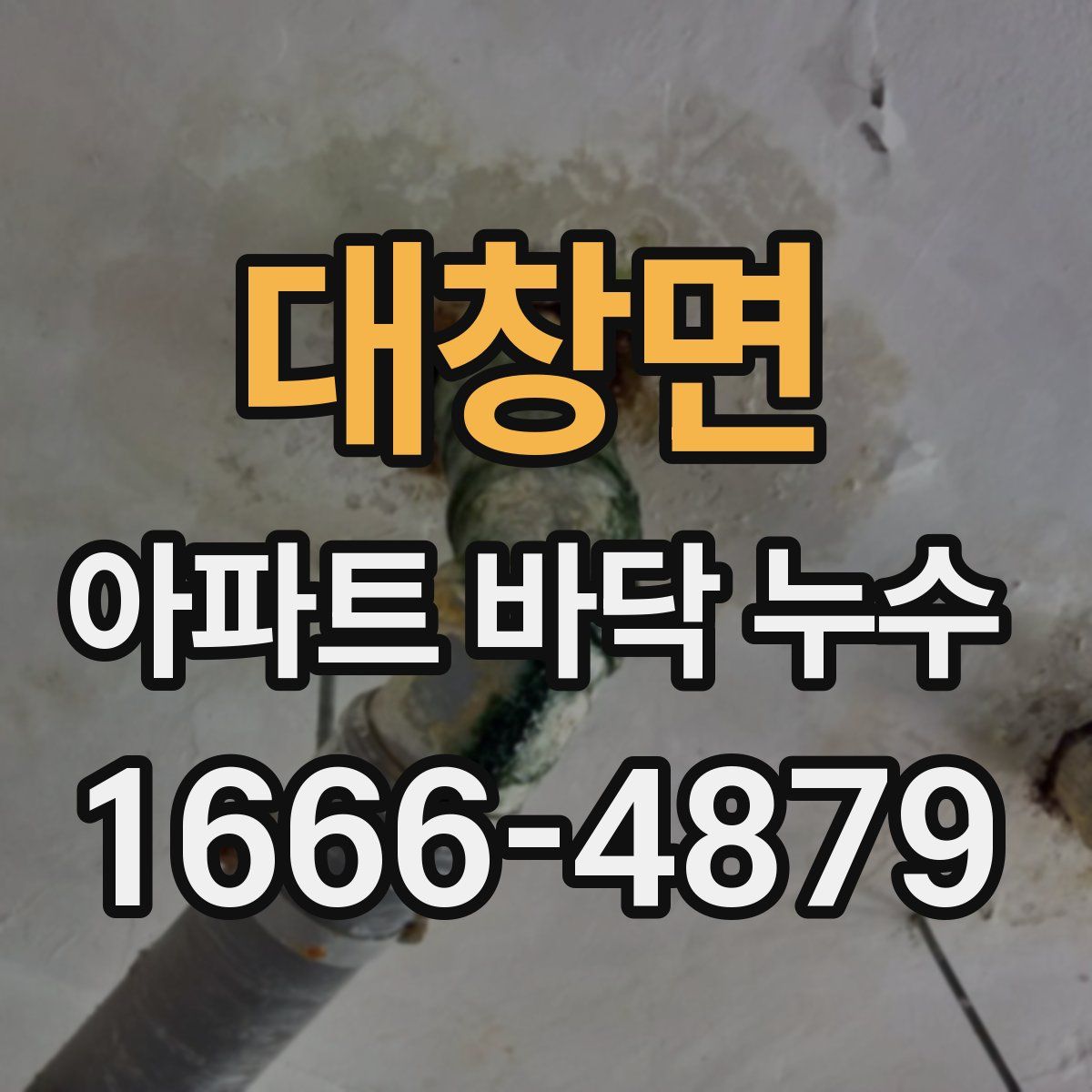 대창면 아파트 바닥 누수