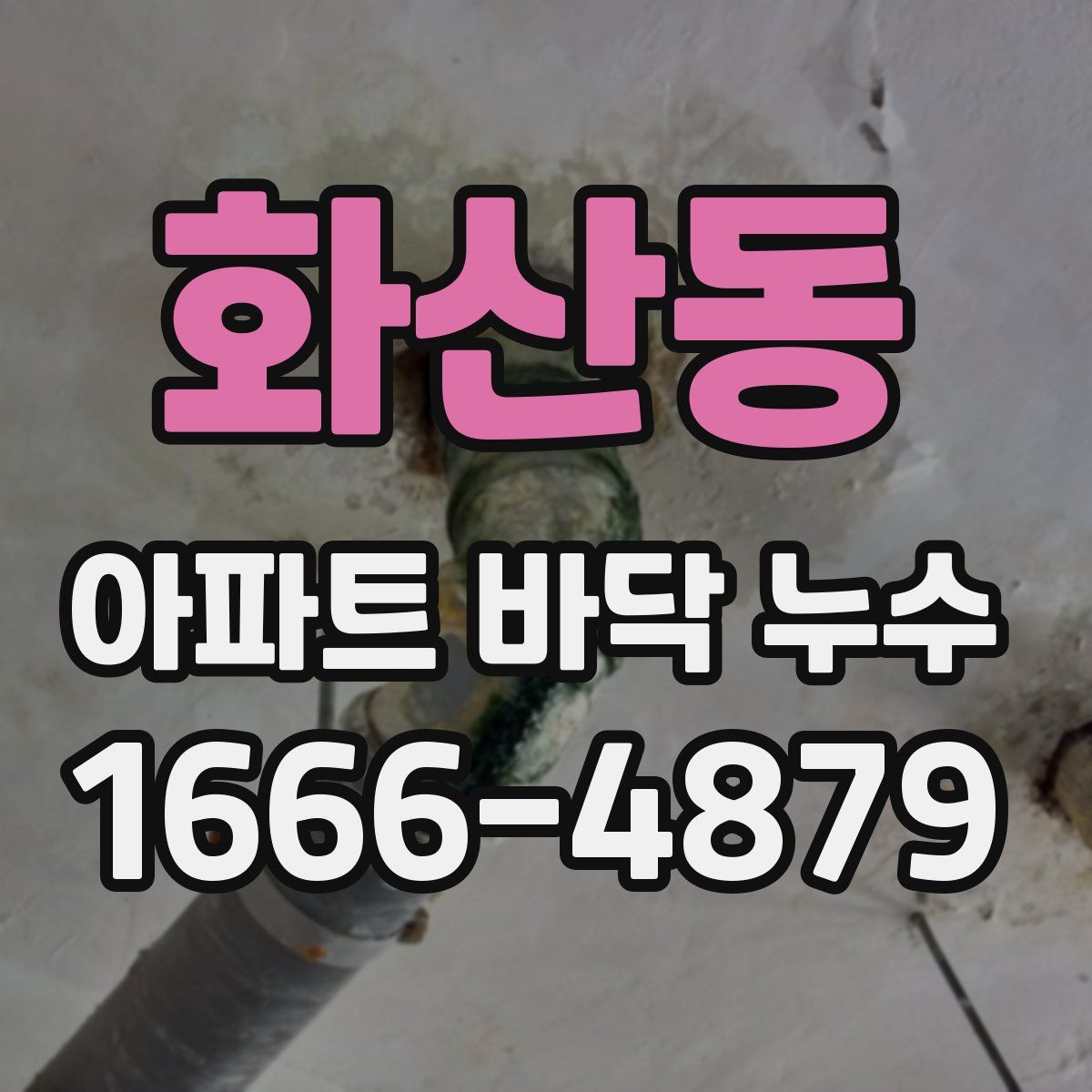 화산동 아파트 바닥 누수