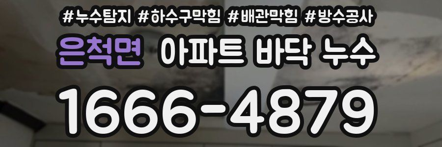 은척면 아파트 바닥 누수