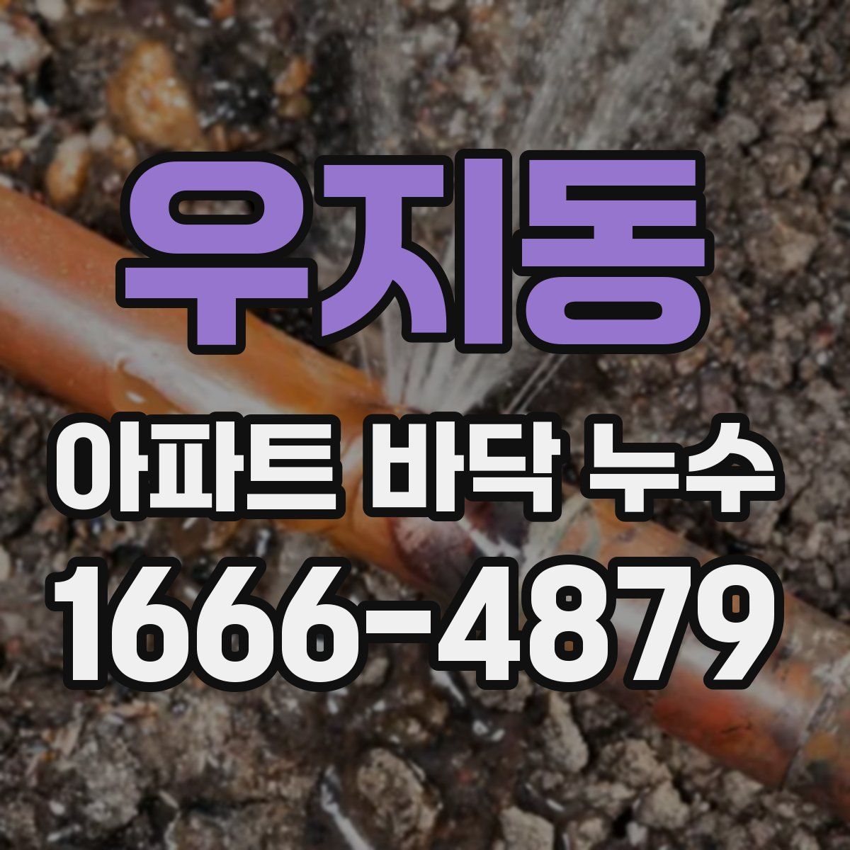 우지동 아파트 바닥 누수