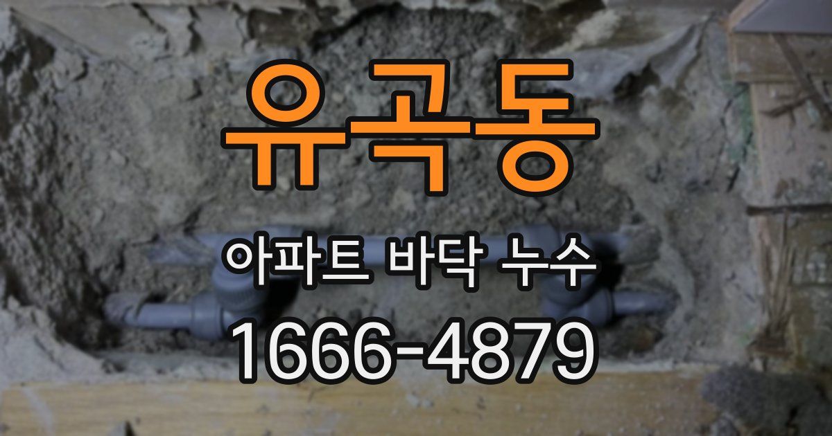 유곡동 아파트 바닥 누수