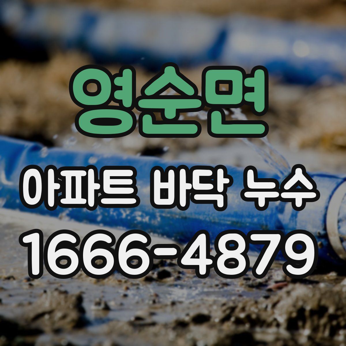 영순면 아파트 바닥 누수