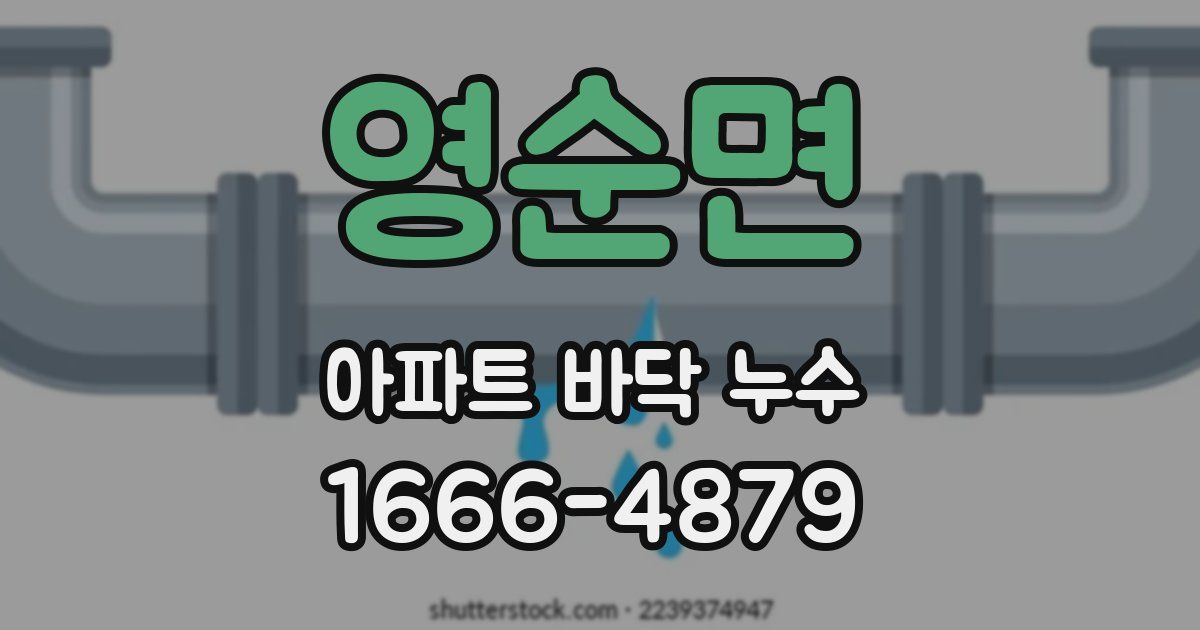 영순면 아파트 바닥 누수