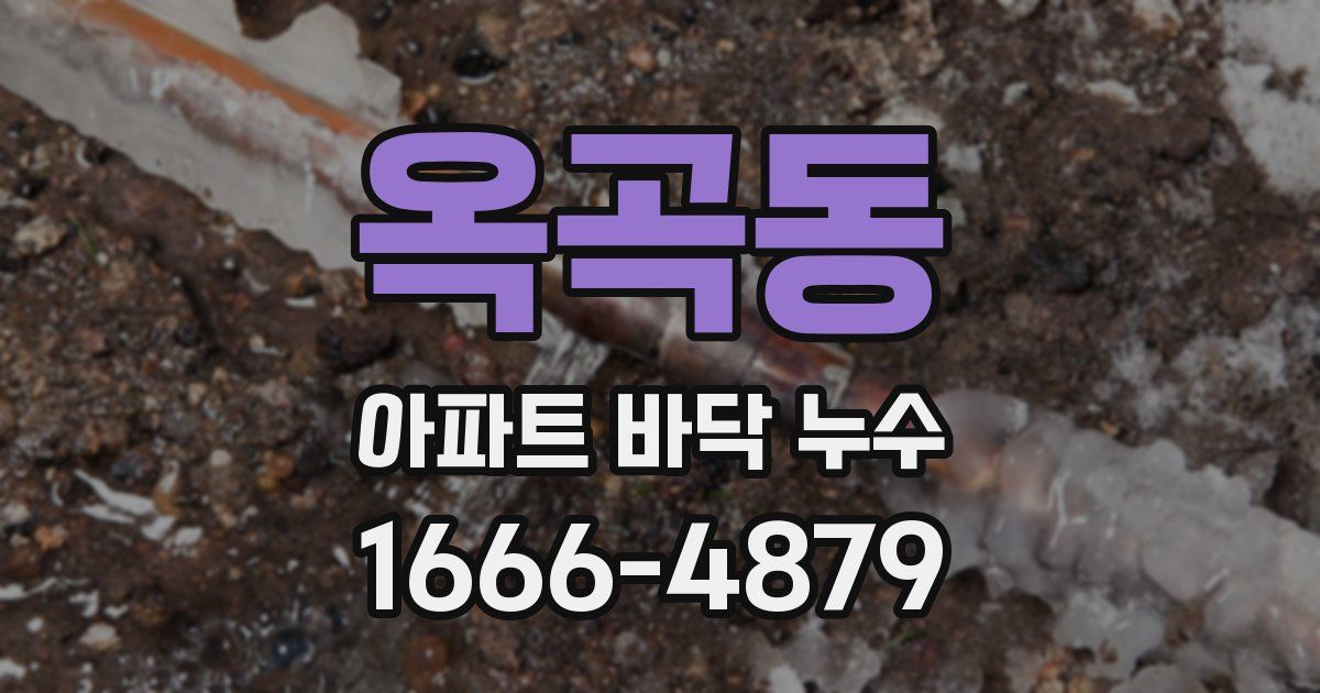옥곡동 아파트 바닥 누수