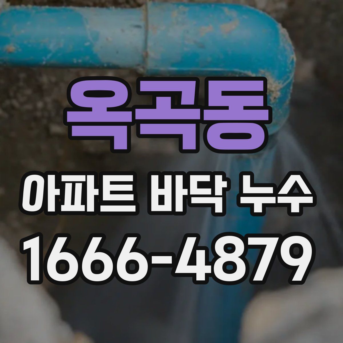 옥곡동 아파트 바닥 누수
