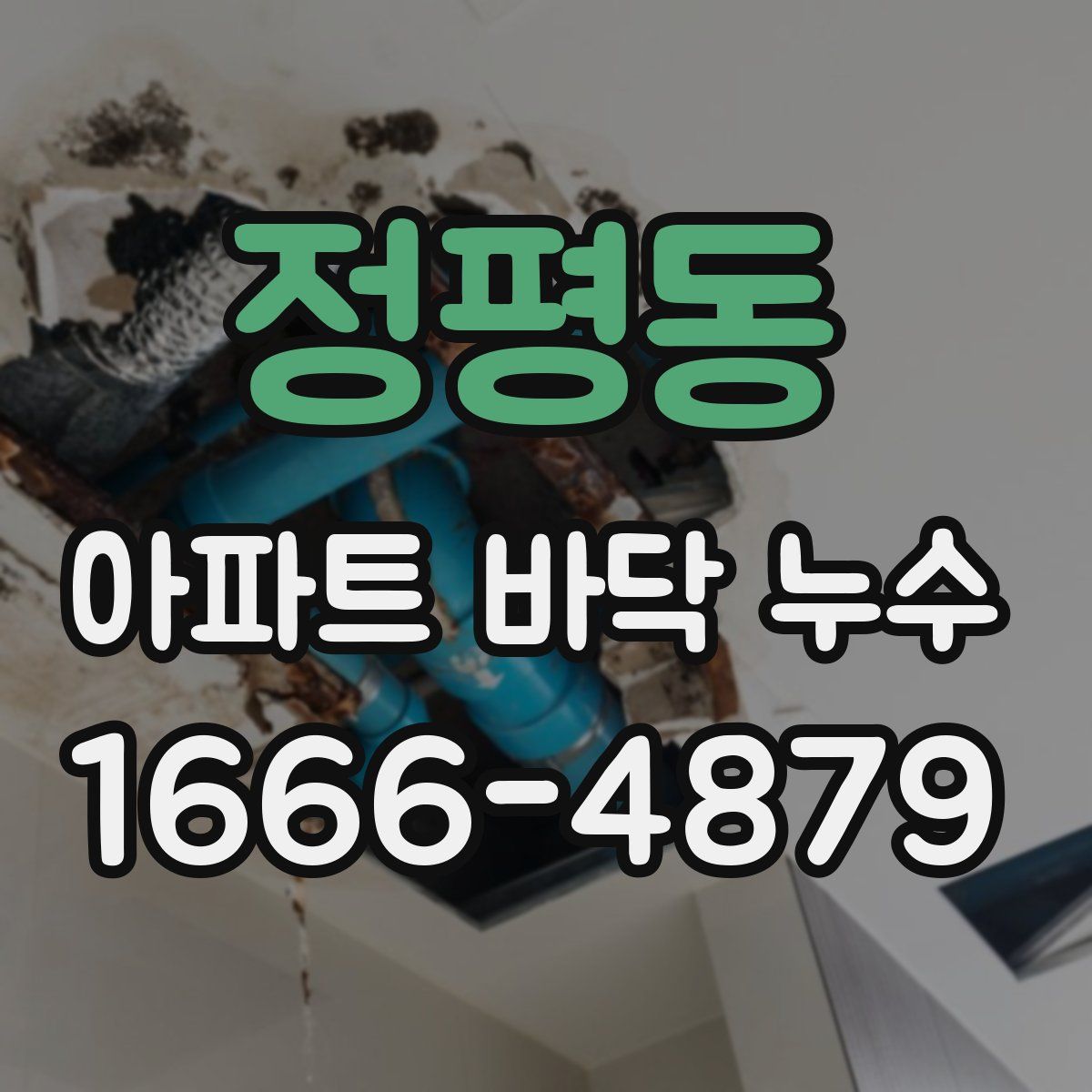 정평동 아파트 바닥 누수