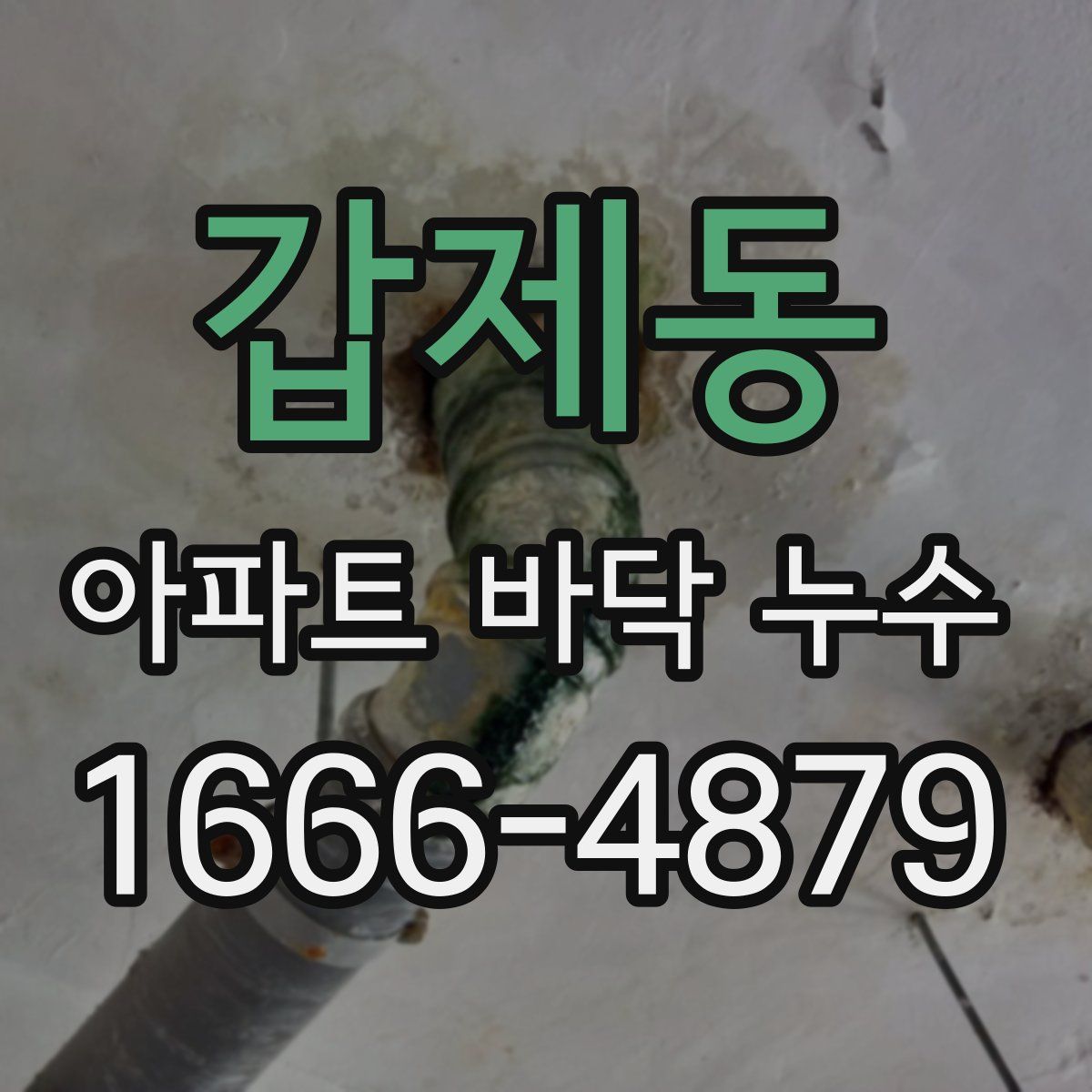 갑제동 아파트 바닥 누수