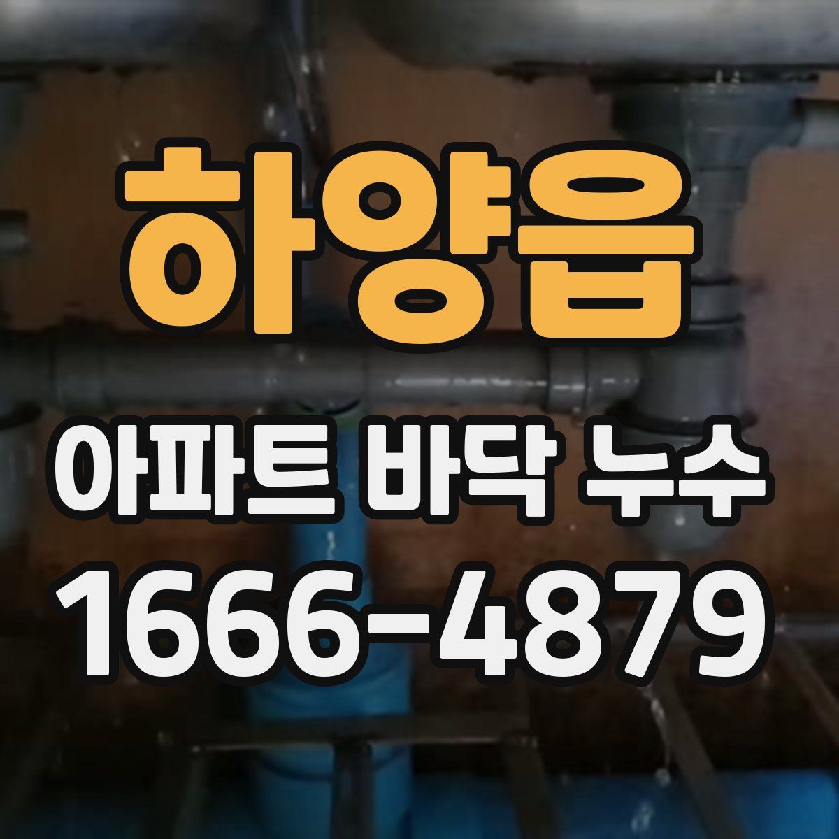 하양읍 아파트 바닥 누수