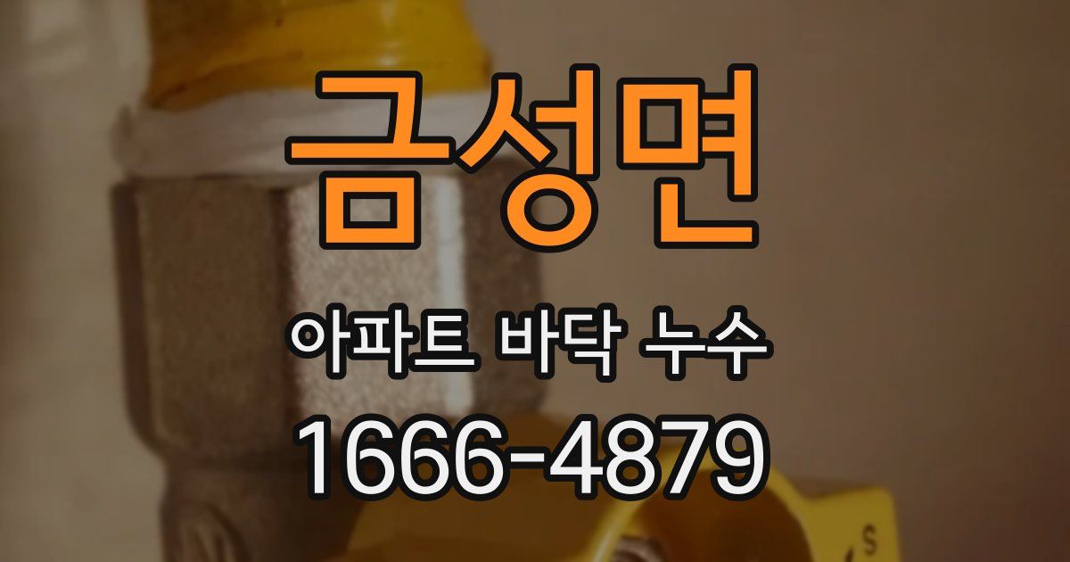 금성면 아파트 바닥 누수