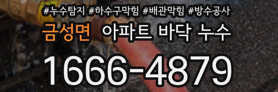 금성면 아파트 바닥 누수