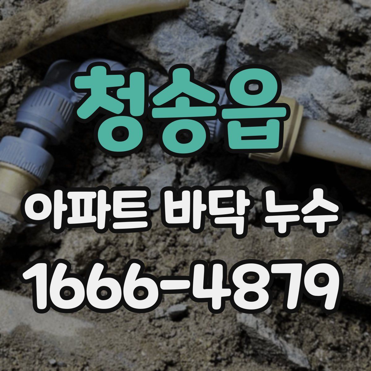 청송읍 아파트 바닥 누수
