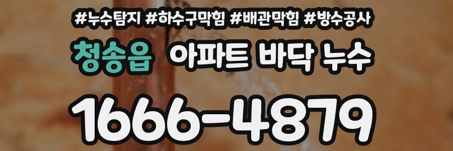 청송읍 아파트 바닥 누수