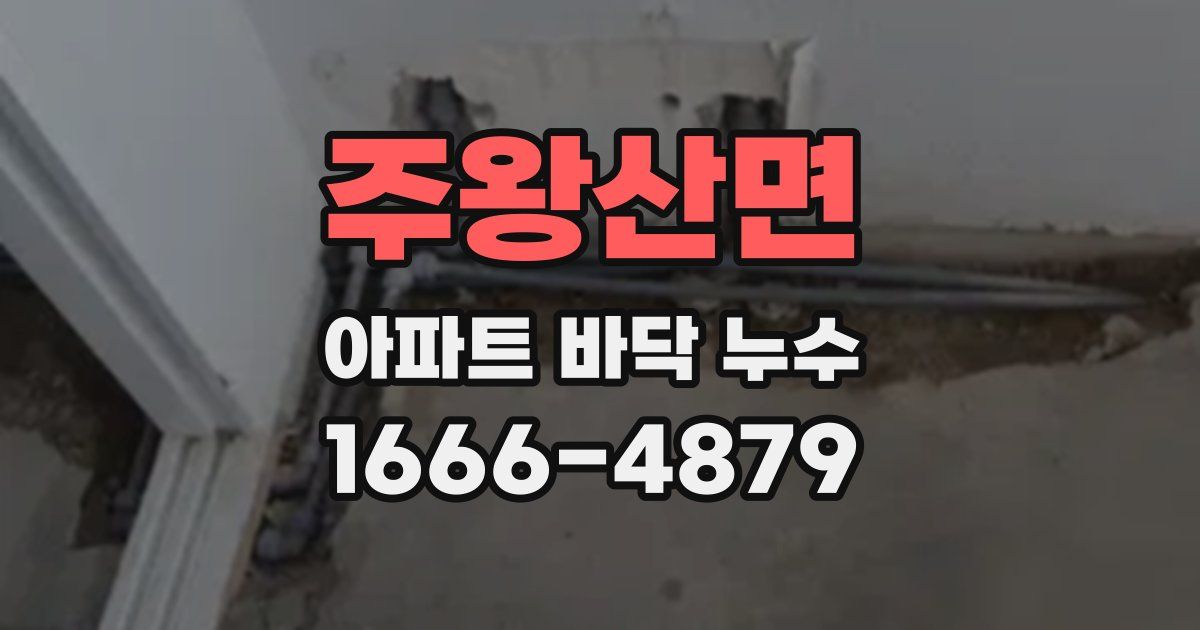 주왕산면 아파트 바닥 누수