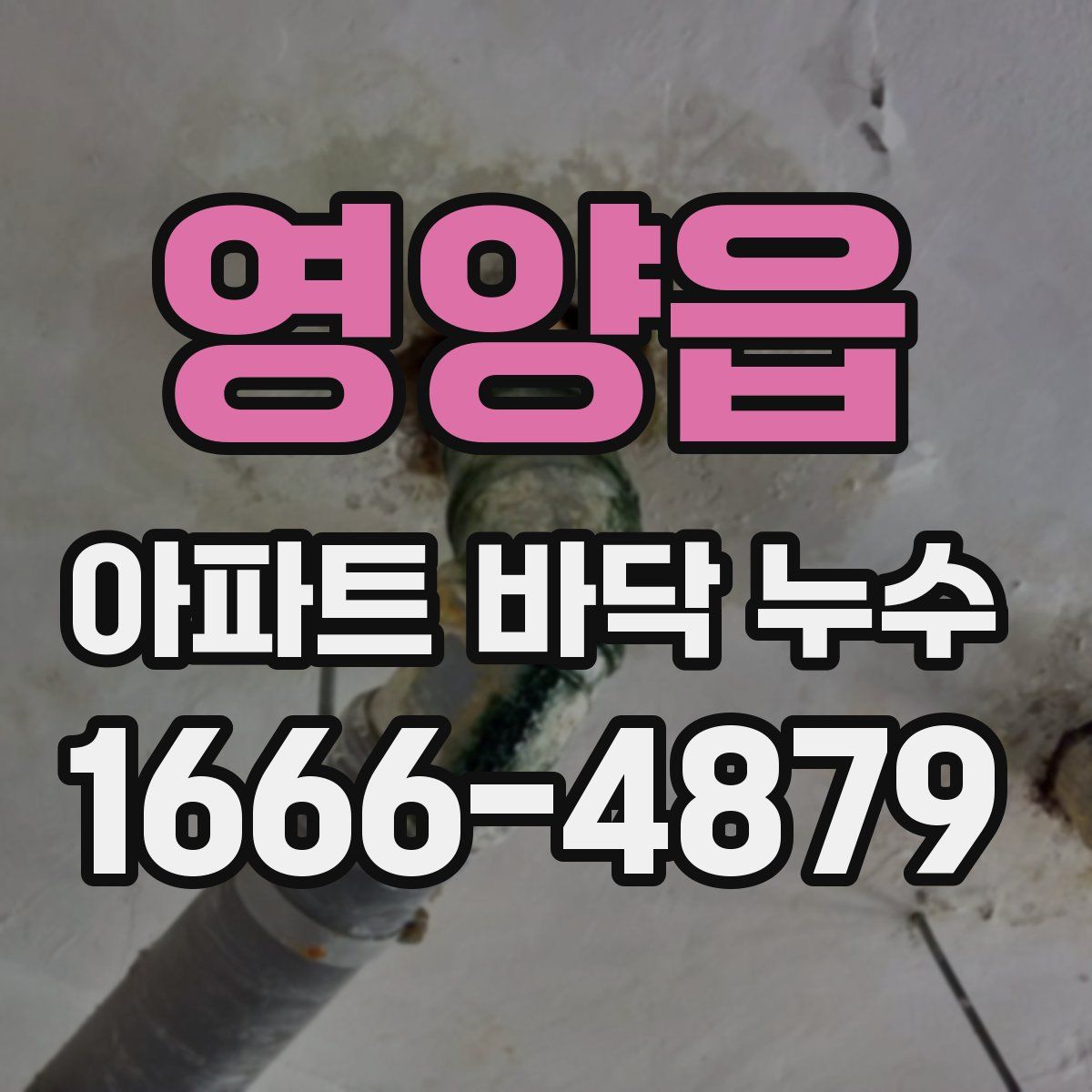 영양읍 아파트 바닥 누수