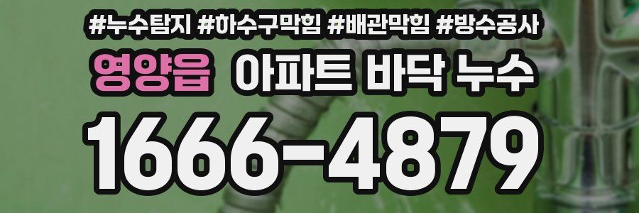 영양읍 아파트 바닥 누수