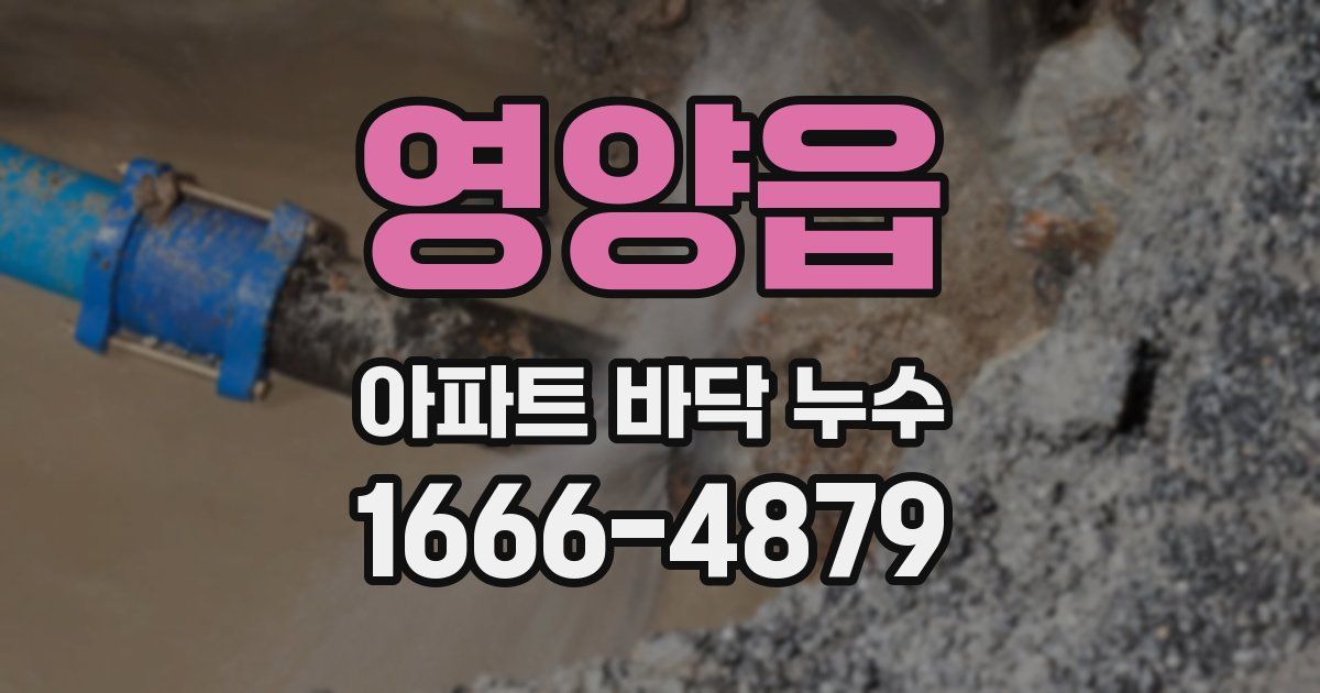 영양읍 아파트 바닥 누수