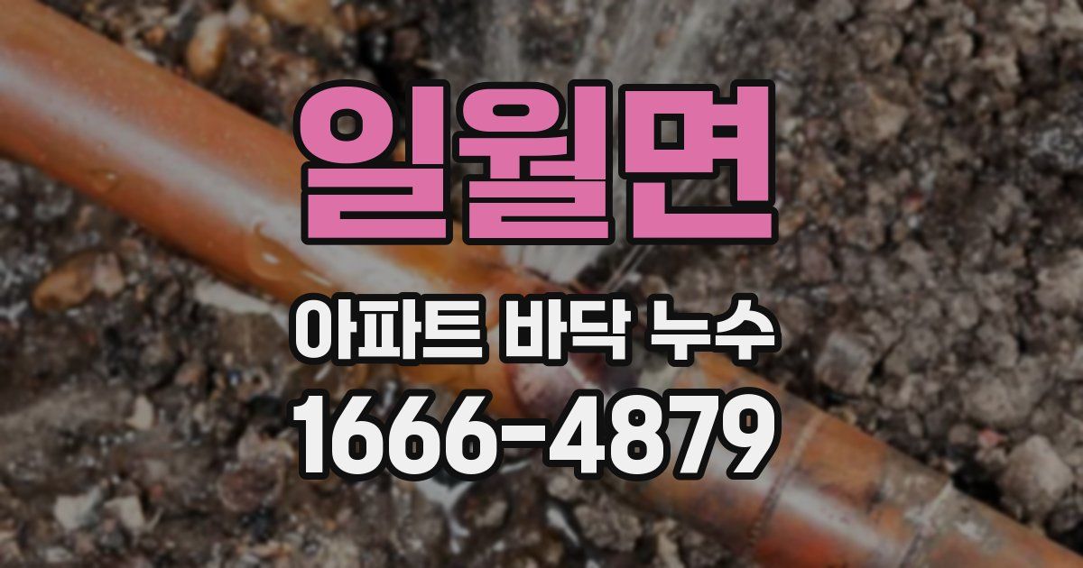 일월면 아파트 바닥 누수