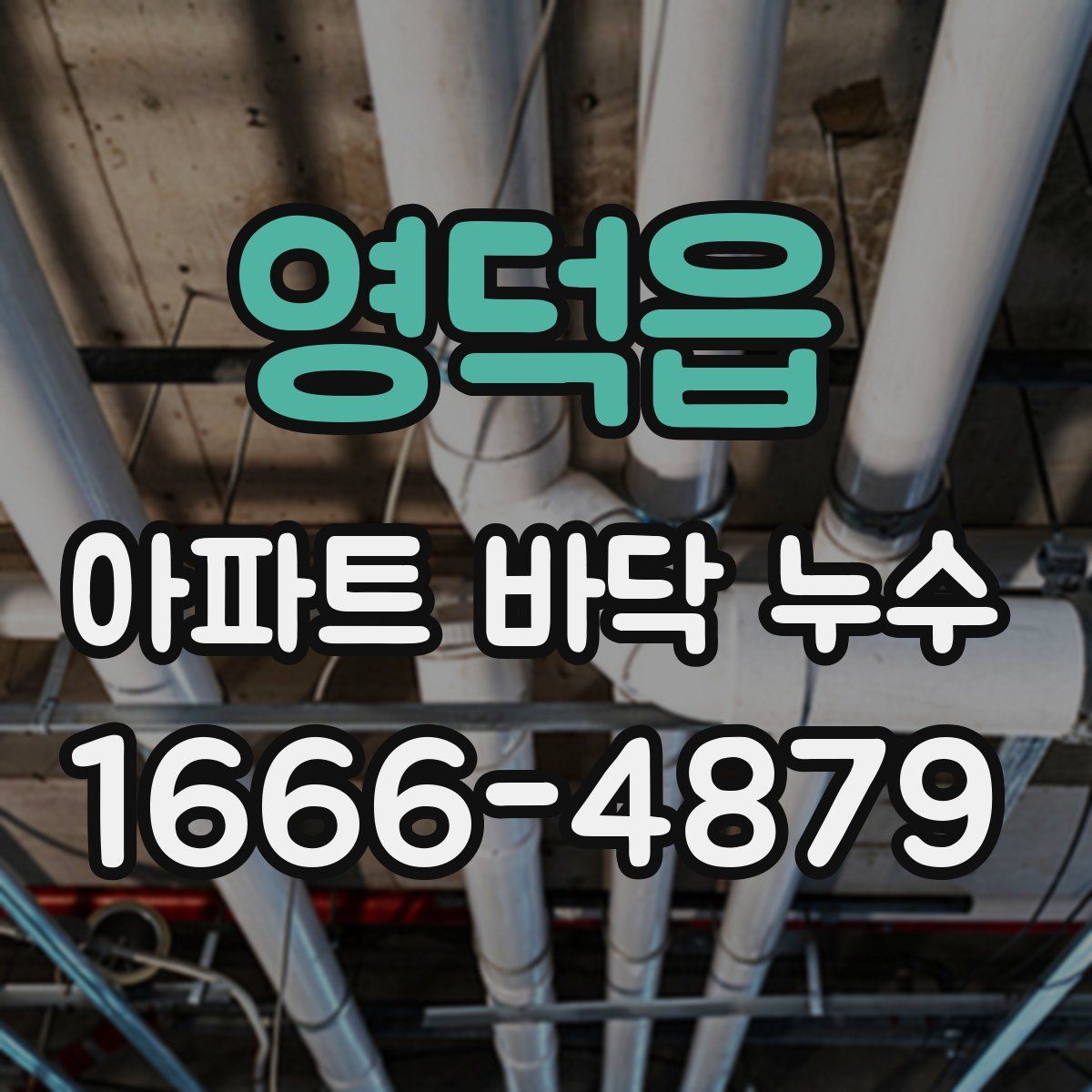 영덕읍 아파트 바닥 누수