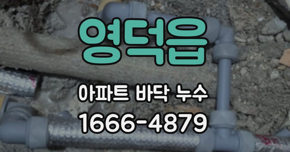 영덕읍 아파트 바닥 누수